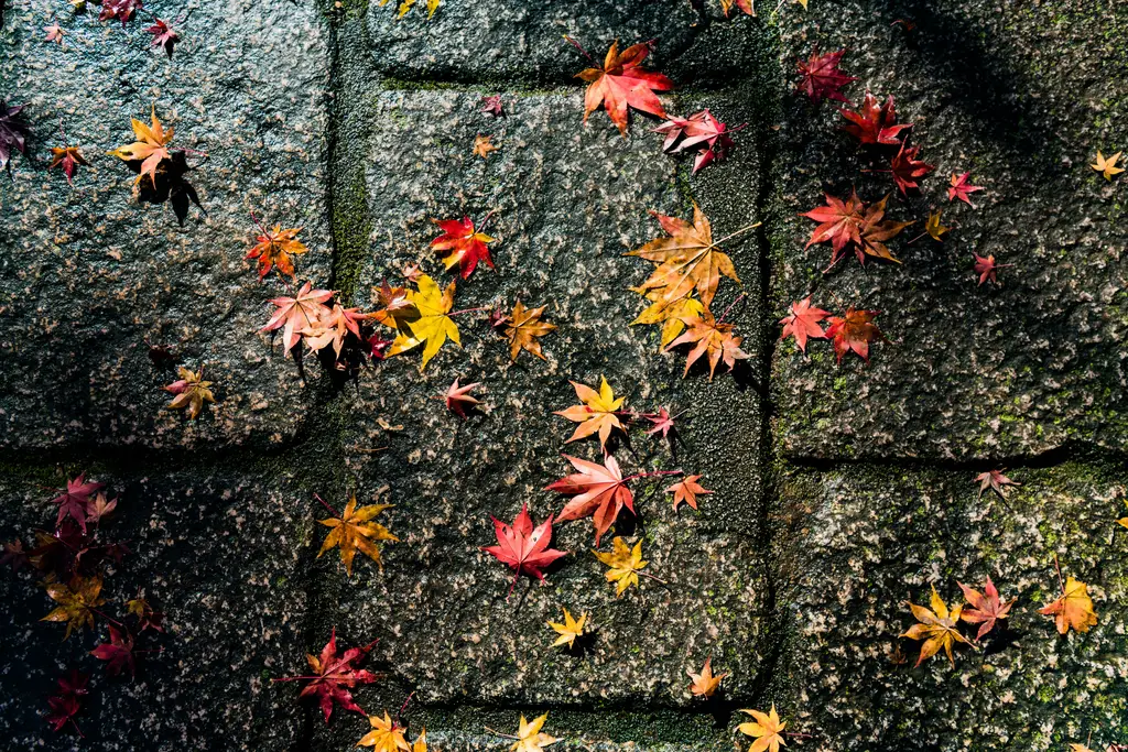 大阪天氣預報15天